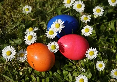 uova di Pasqua nell'erba verde, circondate da margherite bianche