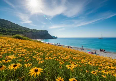 un campo di girasole vicino alla spiaggia