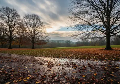 paesaggio con alberi a Novembre
